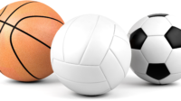 bold sport 2.jpg
