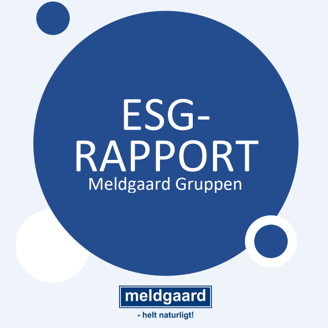 ESG-rapport